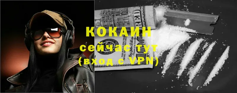 закладка  Майкоп  Cocaine Fish Scale 